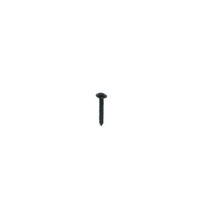 Tornillo 4,2 x 25,4 mm negro DIN 7983