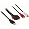 Cable extensión puerto USB KIA Amanti -13 - Borreg