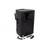 RX18A-BT 18'' ACTIVE SPEAKER 1000W WITH USB/SD/BT/