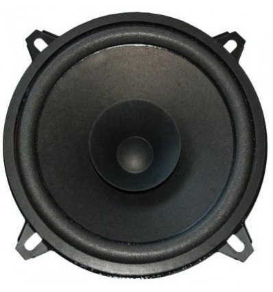 Altavoz 5" DC 30W