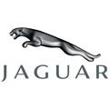 Accesorios Instalación Autorradio Nithson para la marca JAGUAR