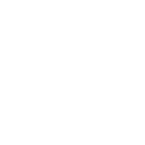 Nithson Car